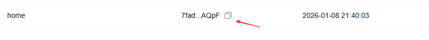查看 API Key