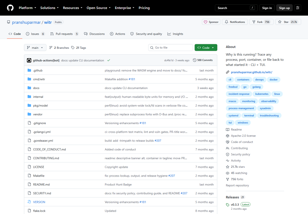 witr GitHub 仓库截图