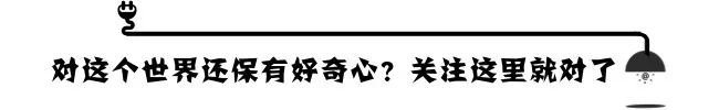 Codex 概念图