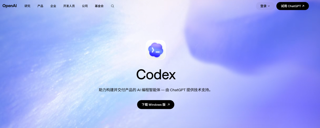 Codex 界面