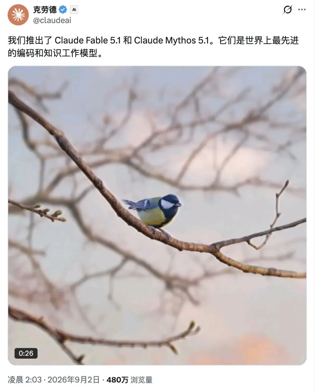 Claude Fable 5.1 发布信息